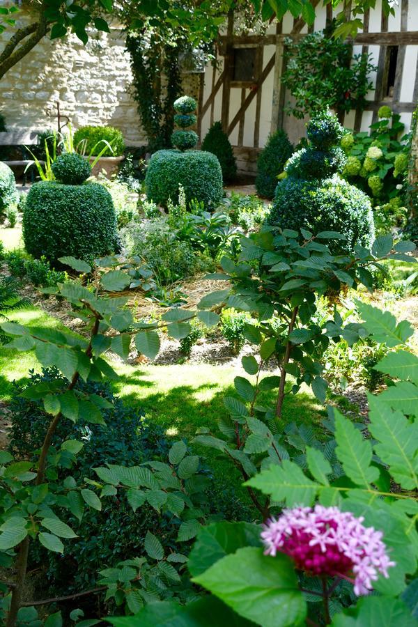 Le Jardin De La Cathedrale Bed & Breakfast Troyes Bagian luar foto